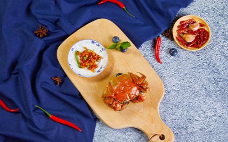 参加中国国际渔业博览会的心得